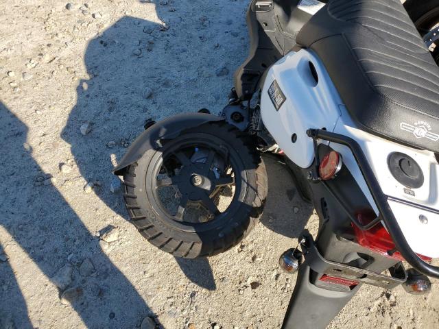 2021 GENUINE SCOOTER CO. ROUGHHOUSE 50  