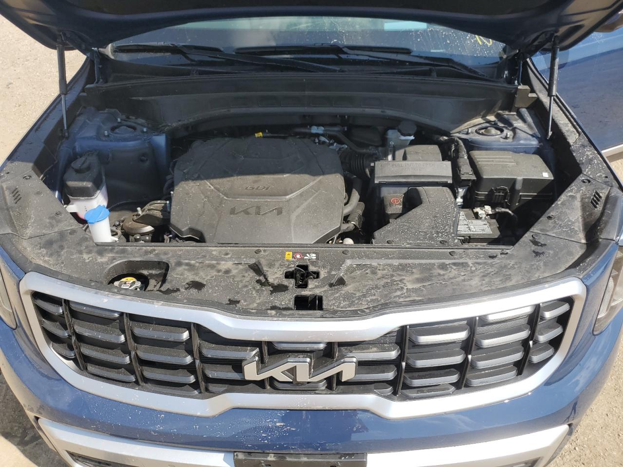 2024 Kia Telluride Sx VIN: 5XYP5DGC7RG551721 Lot: 69107825