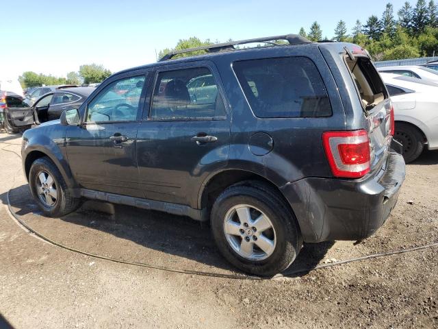 2009 FORD ESCAPE XLT  