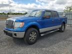 2011 FORD F150 SUPERCREW   à vendre chez Copart ON - OTTAWA