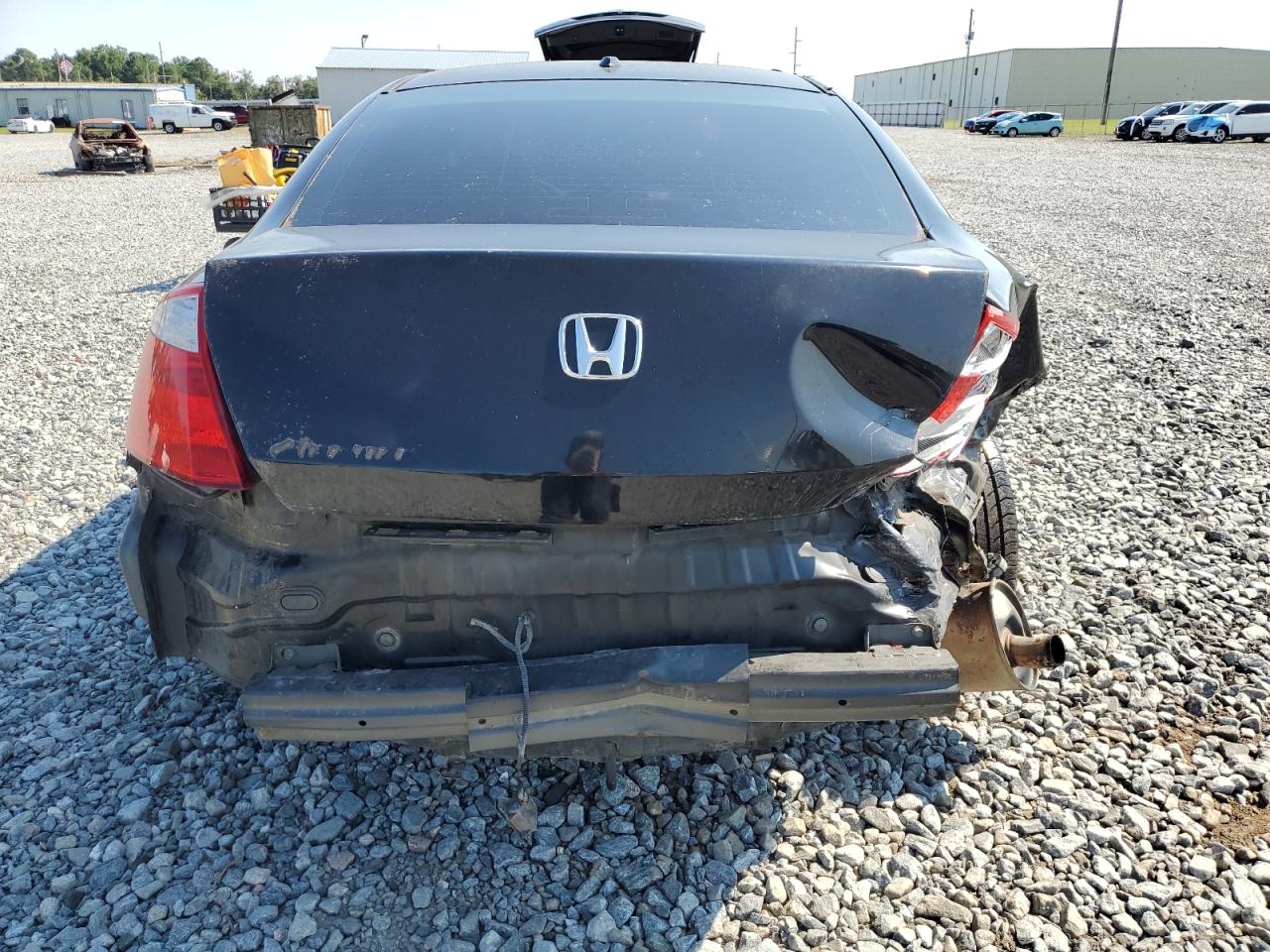 2009 Honda Accord Exl VIN: 1HGCS12849A015531 Lot: 70352235