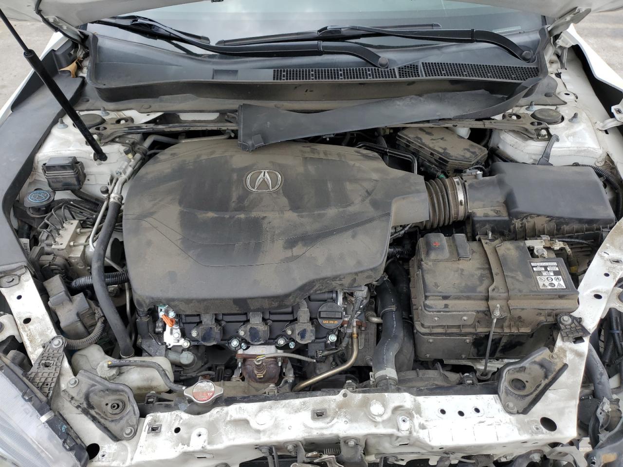 2019 Acura Tlx Technology VIN: 19UUB2F65KA003722 Lot: 67118425