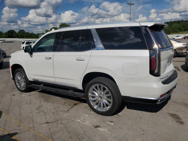  CADILLAC ESCALADE 2023 Biały