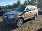 2004 HONDA CR-V EX   for sale at Copart ON - COOKSTOWN