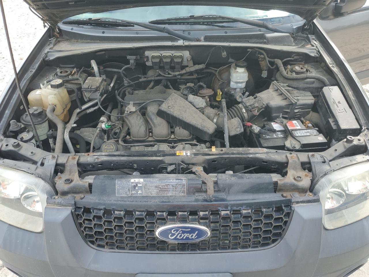 2006 Ford Escape Xlt VIN: 1FMYU93106KA99315 Lot: 70518175