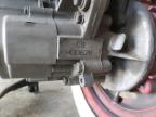 2012 GENUINE SCOOTER CO. BUDDY 170I   for sale at Copart MN - MINNEAPOLIS NORTH