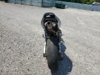 2005 HONDA CBR600 RR   for sale at Copart GA - AUGUSTA