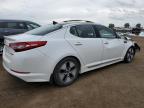 2013 KIA OPTIMA HYBRID   à vendre chez Copart AB - CALGARY