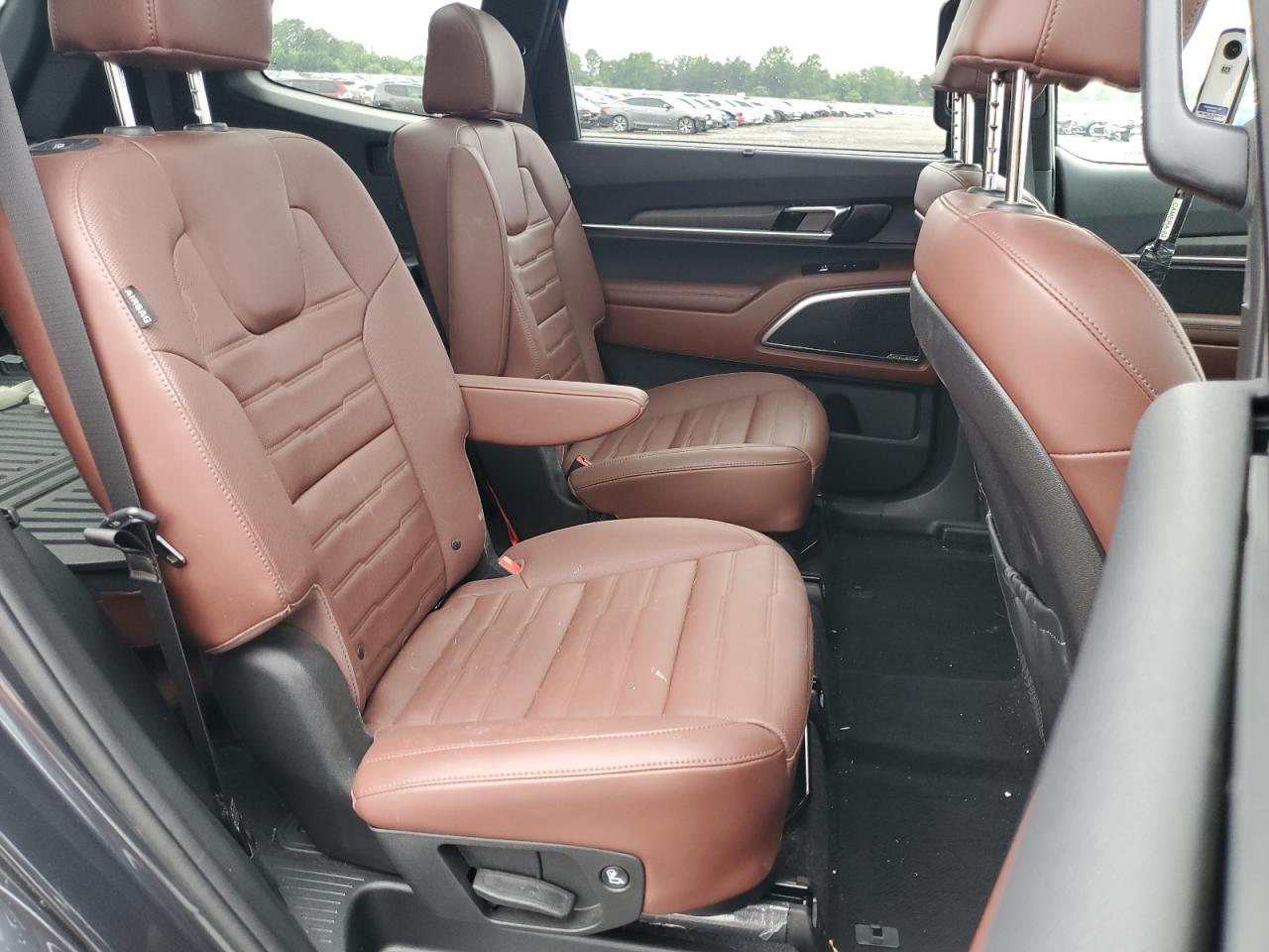 2024 Kia Telluride Sx VIN: 5XYP5DGC0RG426348 Lot: 67683305