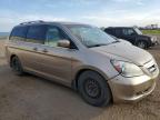 2007 HONDA ODYSSEY EXL   à vendre chez Copart AB - CALGARY