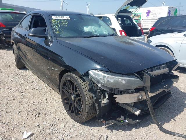 2014 BMW 218D SE 