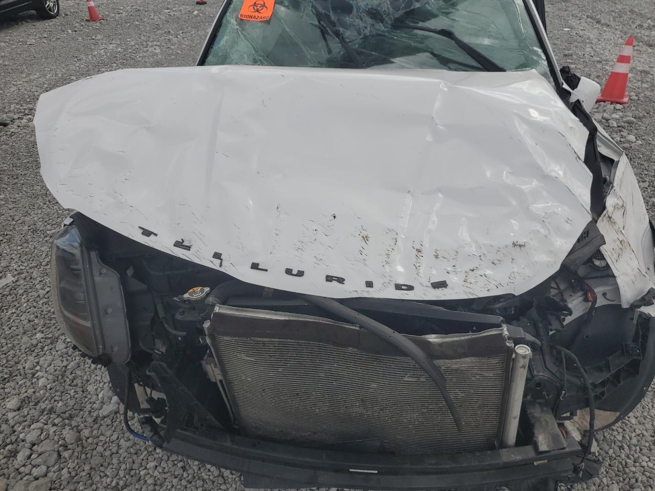 2021 Kia Telluride Sx VIN: 5XYP5DHC3MG173176 Lot: 69606425