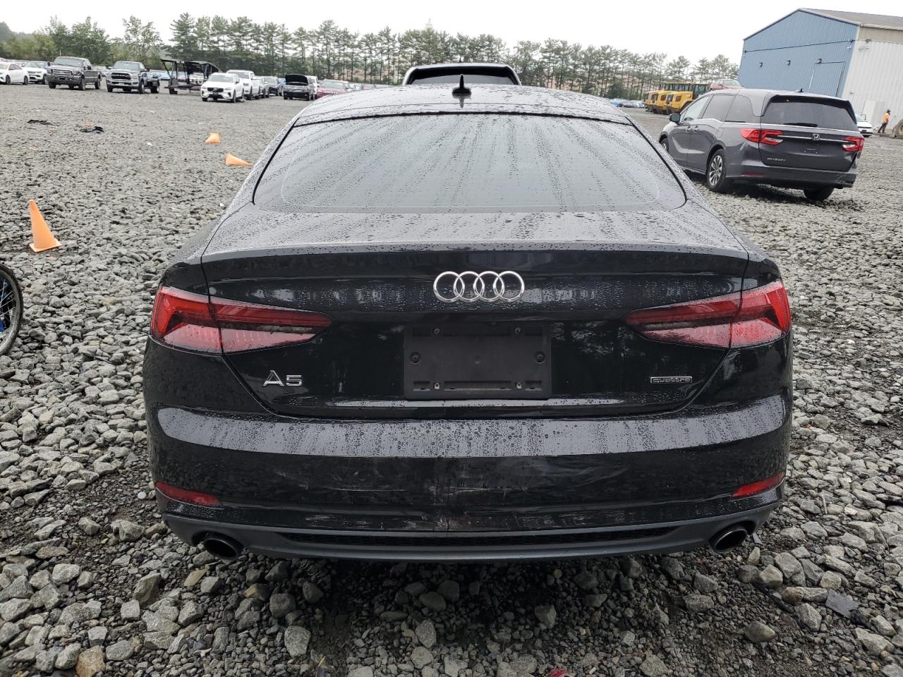 2019 Audi A5 Premium Plus S-Line VIN: WAUENCF55KA012036 Lot: 69474585