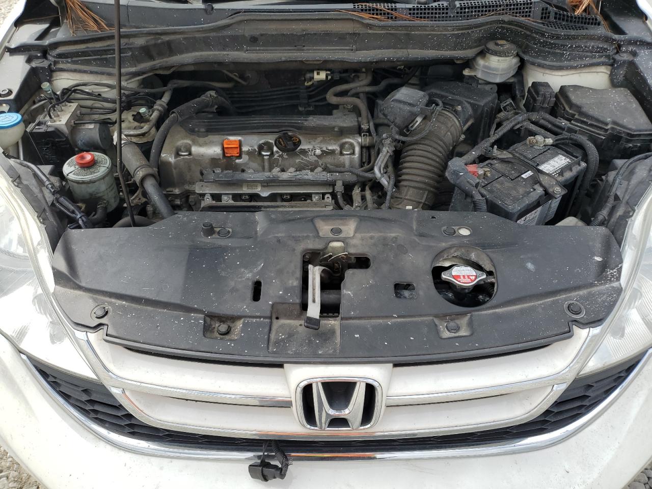 2010 Honda Cr-V Exl VIN: 5J6RE4H78AL026177 Lot: 67970575