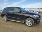 2013 MERCEDES-BENZ ML 350 BLUETEC   à vendre chez Copart AB - EDMONTON