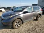 2017 HONDA CR-V LX   à vendre chez Copart AB - EDMONTON