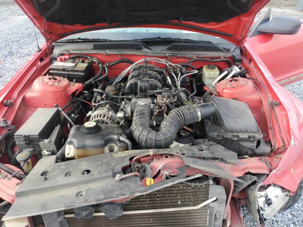 2006 Ford Mustang VIN: 1ZVFT84N765109540 Lot: 70758625