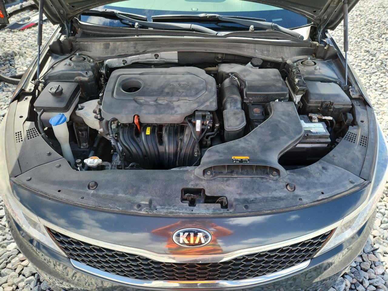 2016 Kia Optima Lx VIN: KNAGT4L31G5092524 Lot: 68892405