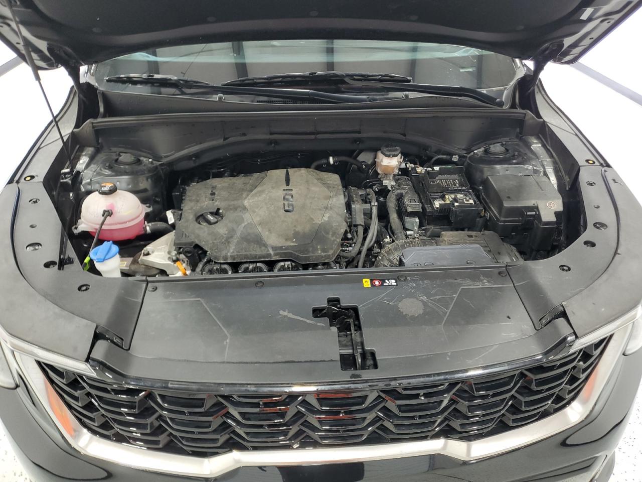 2024 Kia Sorento S VIN: 5XYRL4JC1RG264950 Lot: 69365225