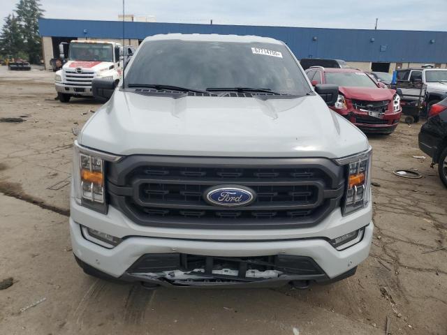  FORD F-150 2023 Бежевый