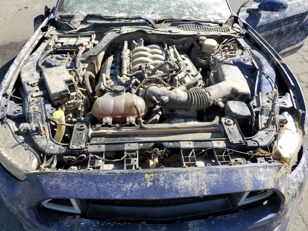 2016 Ford Mustang Gt VIN: 1FA6P8CF0G5269185 Lot: 69648415