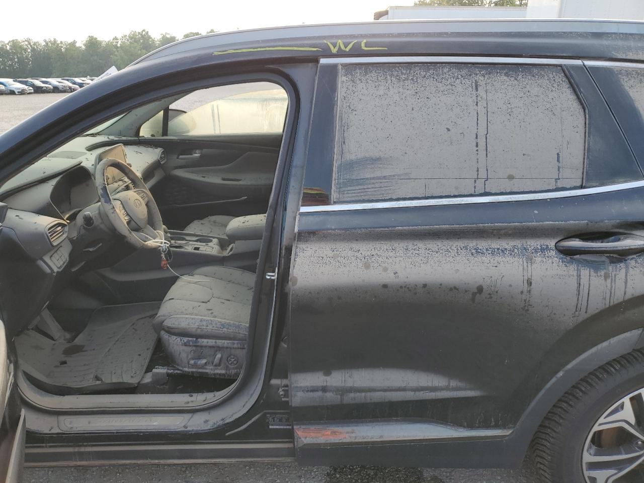 2020 Hyundai Santa Fe Limited VIN: 5NMS53AA0LH208113 Lot: 69074965