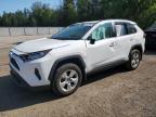 2021 TOYOTA RAV4 XLE   for sale at Copart ON - COOKSTOWN