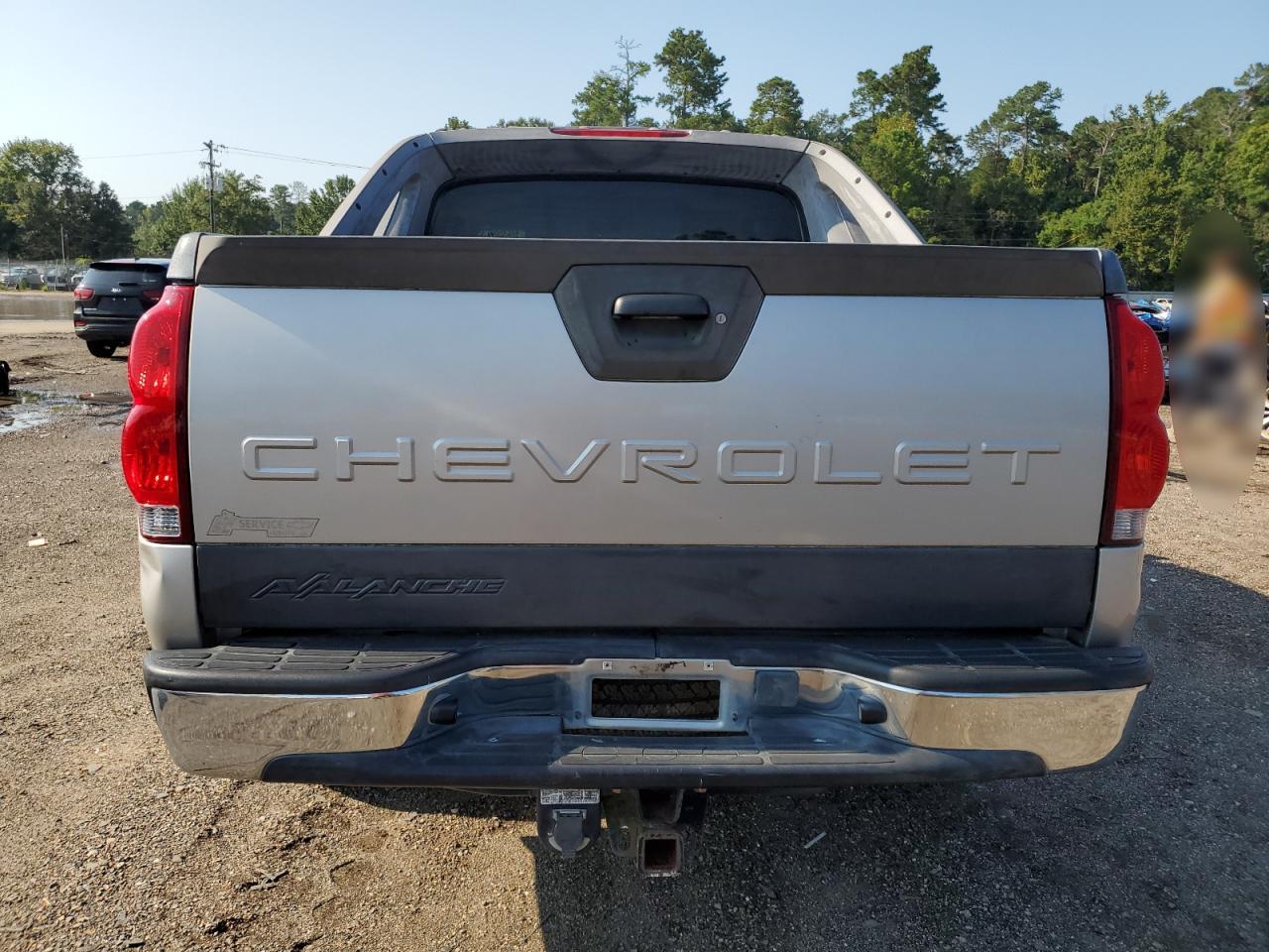 2005 Chevrolet Avalanche K1500 VIN: 3GNEK12Z55G177607 Lot: 69359135