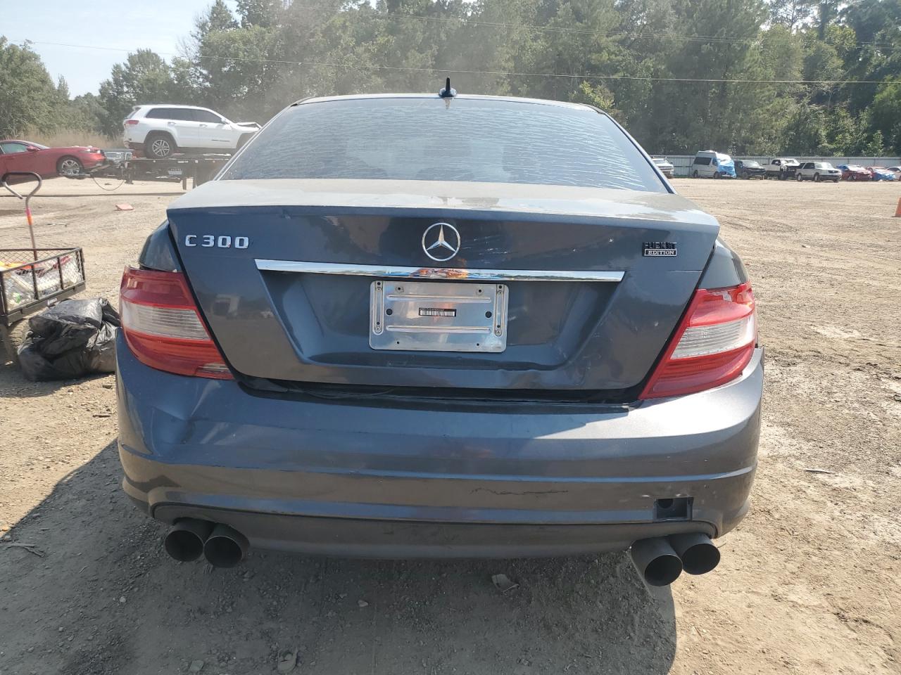 2009 Mercedes-Benz C 300 VIN: WDDGF54X49R054482 Lot: 70356055