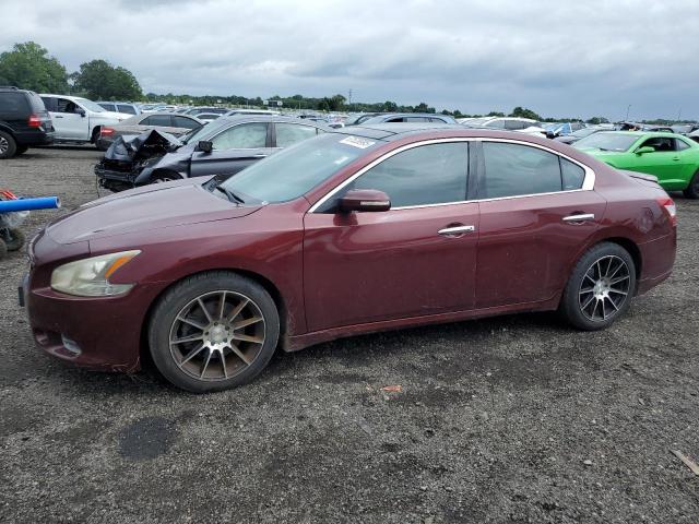 2010 NISSAN MAXIMA S à vendre chez Copart DC - WASHINGTON DC