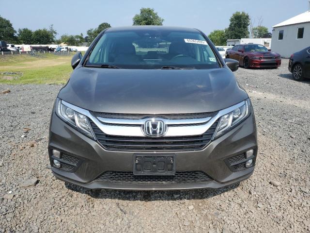  HONDA All Models 2020 Коричневый