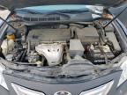 2009 TOYOTA CAMRY BASE   for sale at Copart TX - HOUSTON