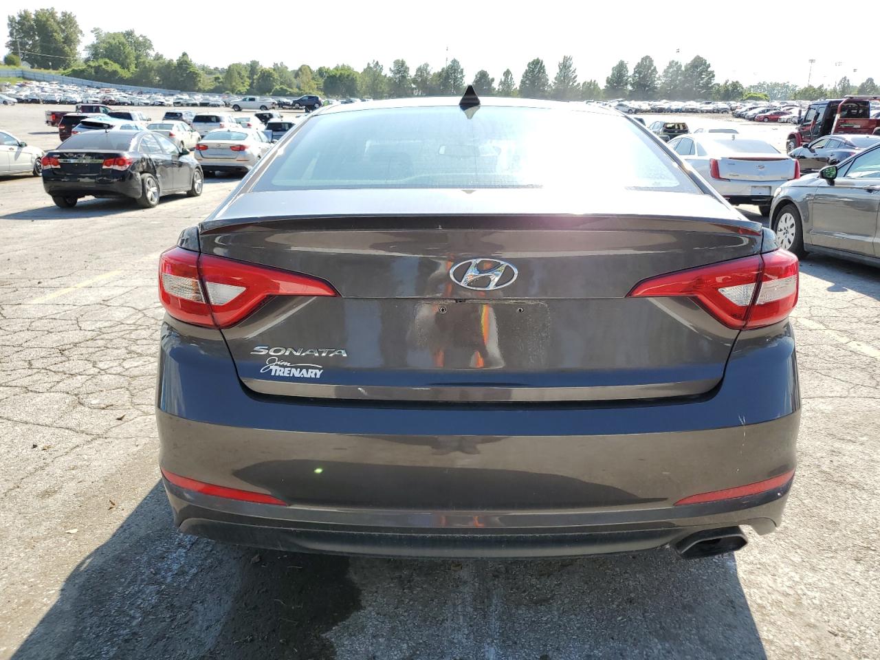 2016 Hyundai Sonata Se VIN: 5NPE24AF5GH291926 Lot: 69466385