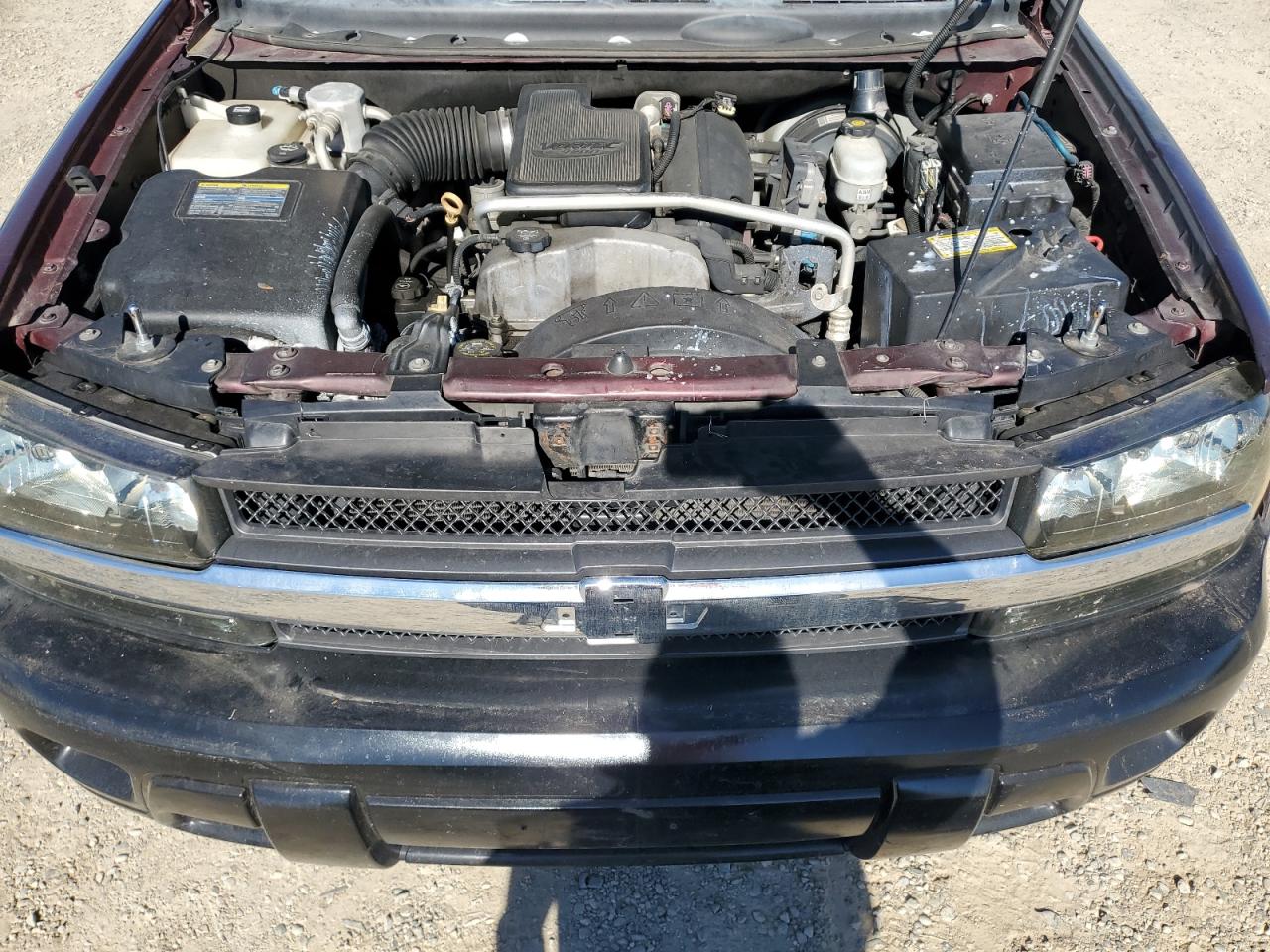 2007 Chevrolet Trailblazer Ls VIN: 1GNDS13S572152604 Lot: 67394715