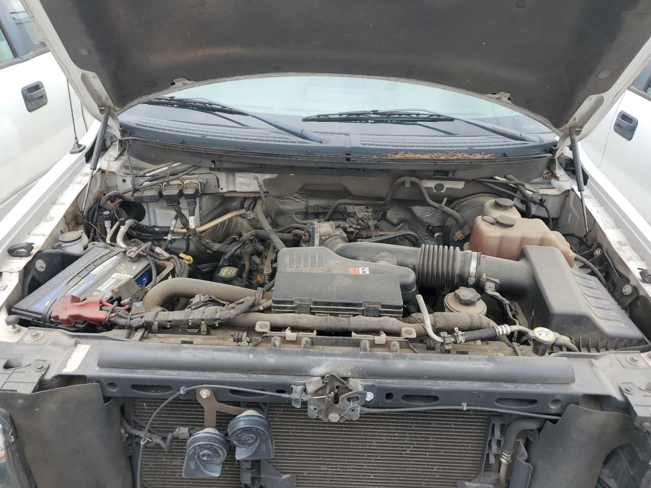 2010 Ford F150 VIN: 1FTMF1CWXAKB10713 Lot: 45470745