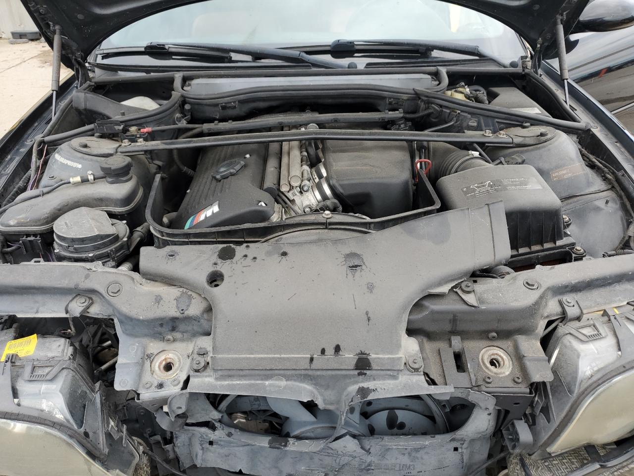 2004 BMW M3 VIN: WBSBL93434PN55131 Lot: 67387165