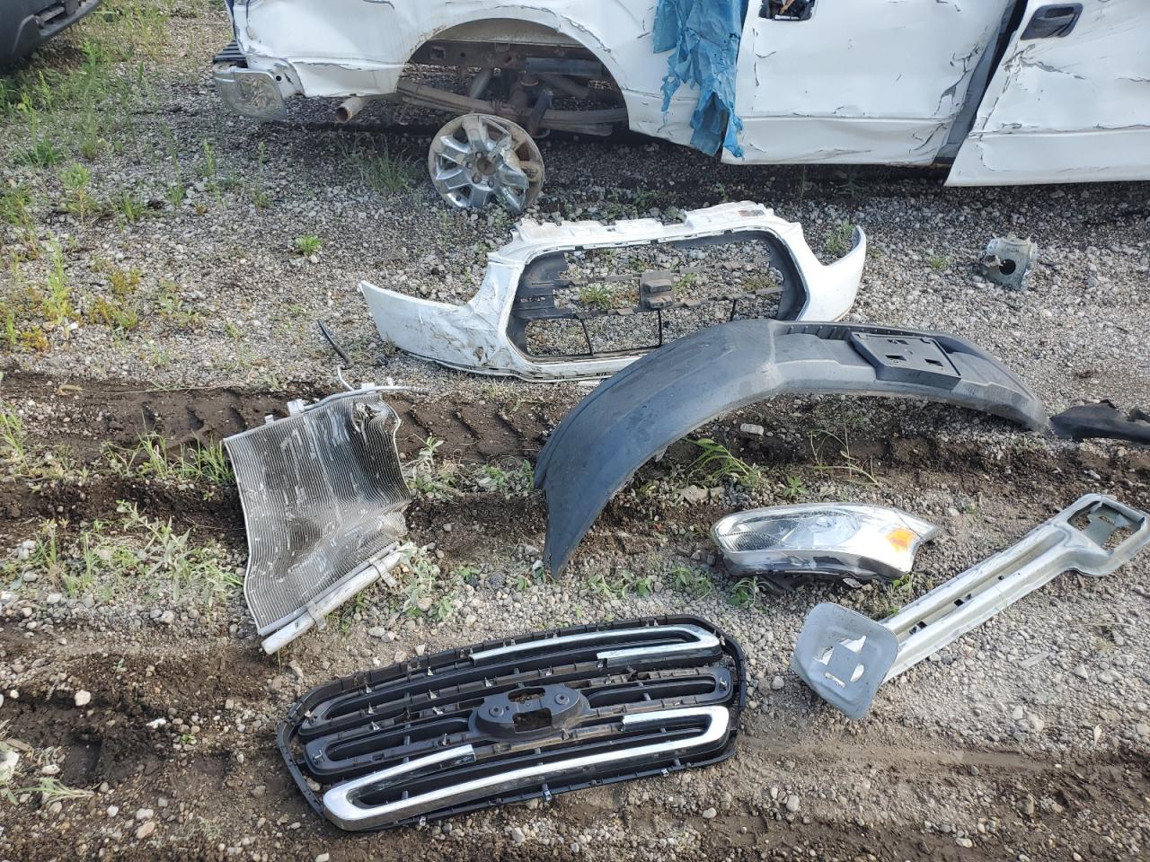 2017 Ford Transit T-150 VIN: 1FDZK1CM1HKB21699 Lot: 67281025