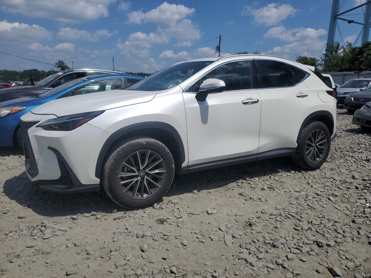 2024 Lexus Nx 350 Premium white null gas 2T2GGCEZ2RC032515 photo #1