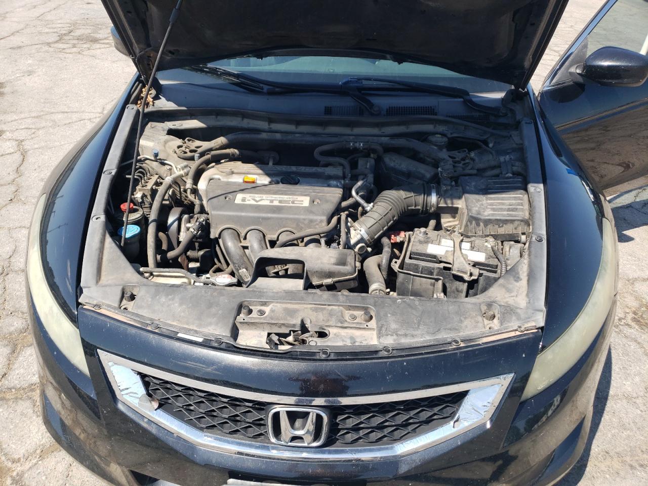 2009 Honda Accord Exl VIN: 1HGCS128X9A006512 Lot: 67112435