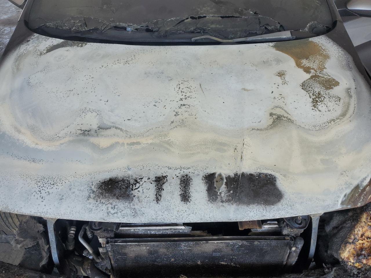 2015 Hyundai Accent Gls VIN: KMHCT4AE4FU929207 Lot: 70907445