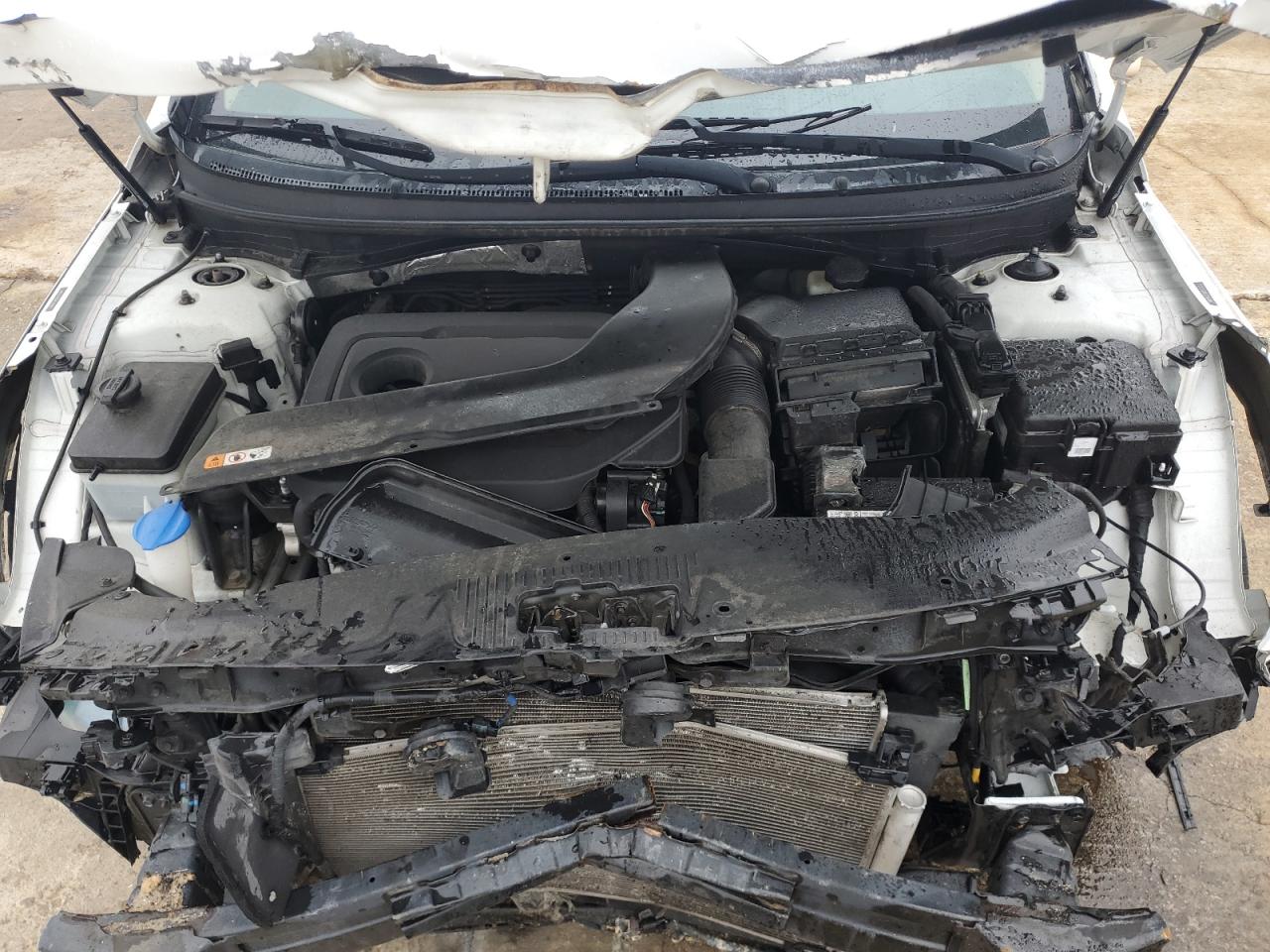 2016 Hyundai Sonata Se VIN: 5NPE24AF8GH328063 Lot: 67978185