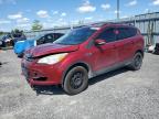 2013 FORD ESCAPE SEL   à vendre chez Copart ON - OTTAWA