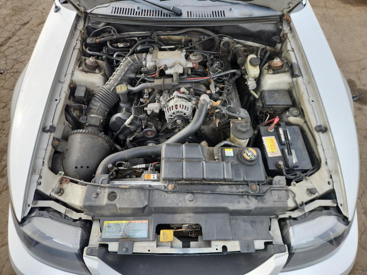 2001 Ford Mustang Gt VIN: 1FAFP42X31F132388 Lot: 70683905