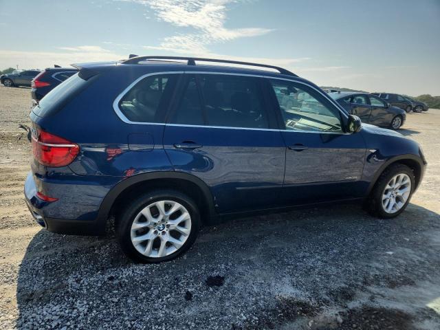 Parquets BMW X5 2013 Blue