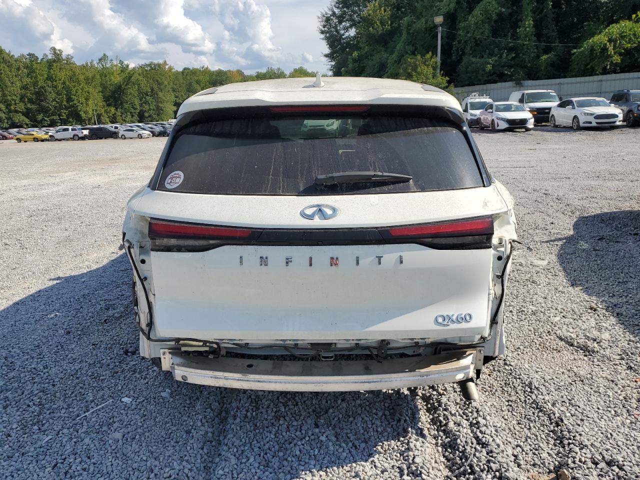 2024 Infiniti Qx60 Pure VIN: 5N1DL1ER4RC342340 Lot: 68526725