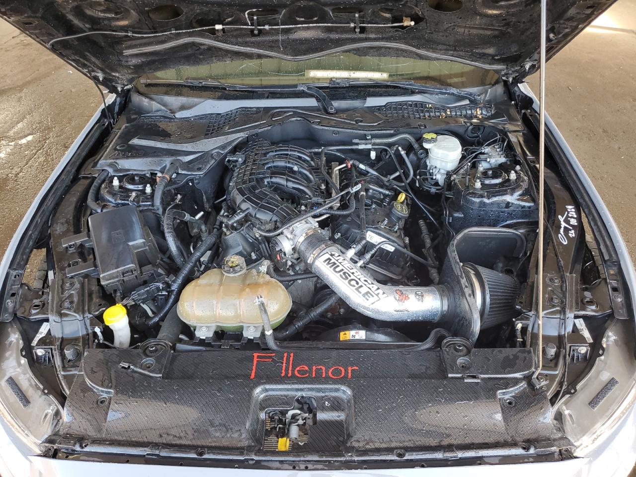 2015 Ford Mustang VIN: 1FA6P8AM4F5330229 Lot: 69495055