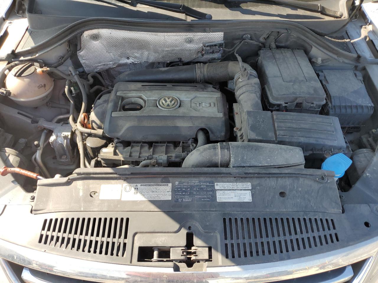 2011 Volkswagen Tiguan S VIN: WVGBV7AX3BW559911 Lot: 68464245