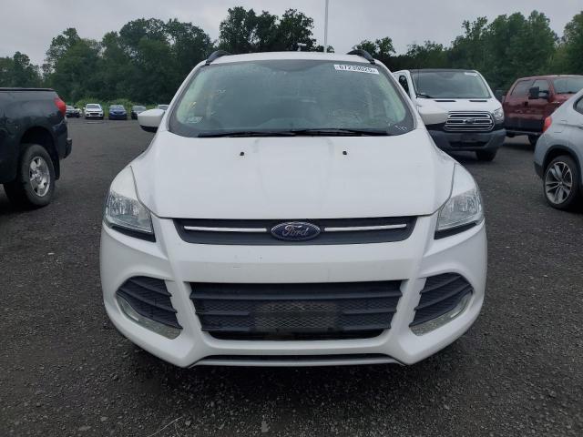 Паркетники FORD ESCAPE 2016 Белы