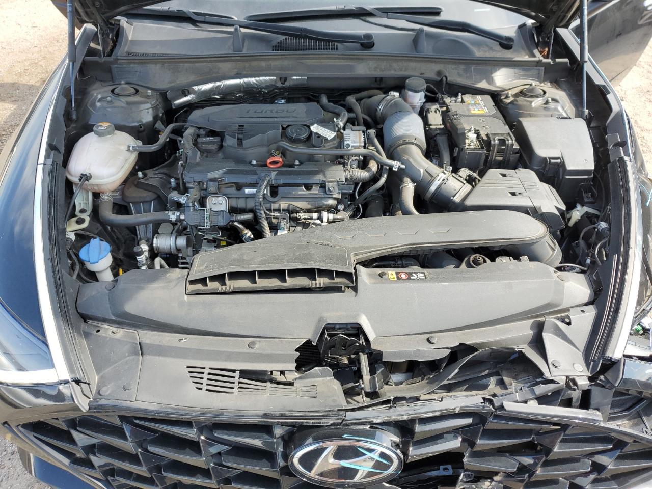 2022 Hyundai Sonata Limited VIN: KMHL34J28NA179980 Lot: 67242445