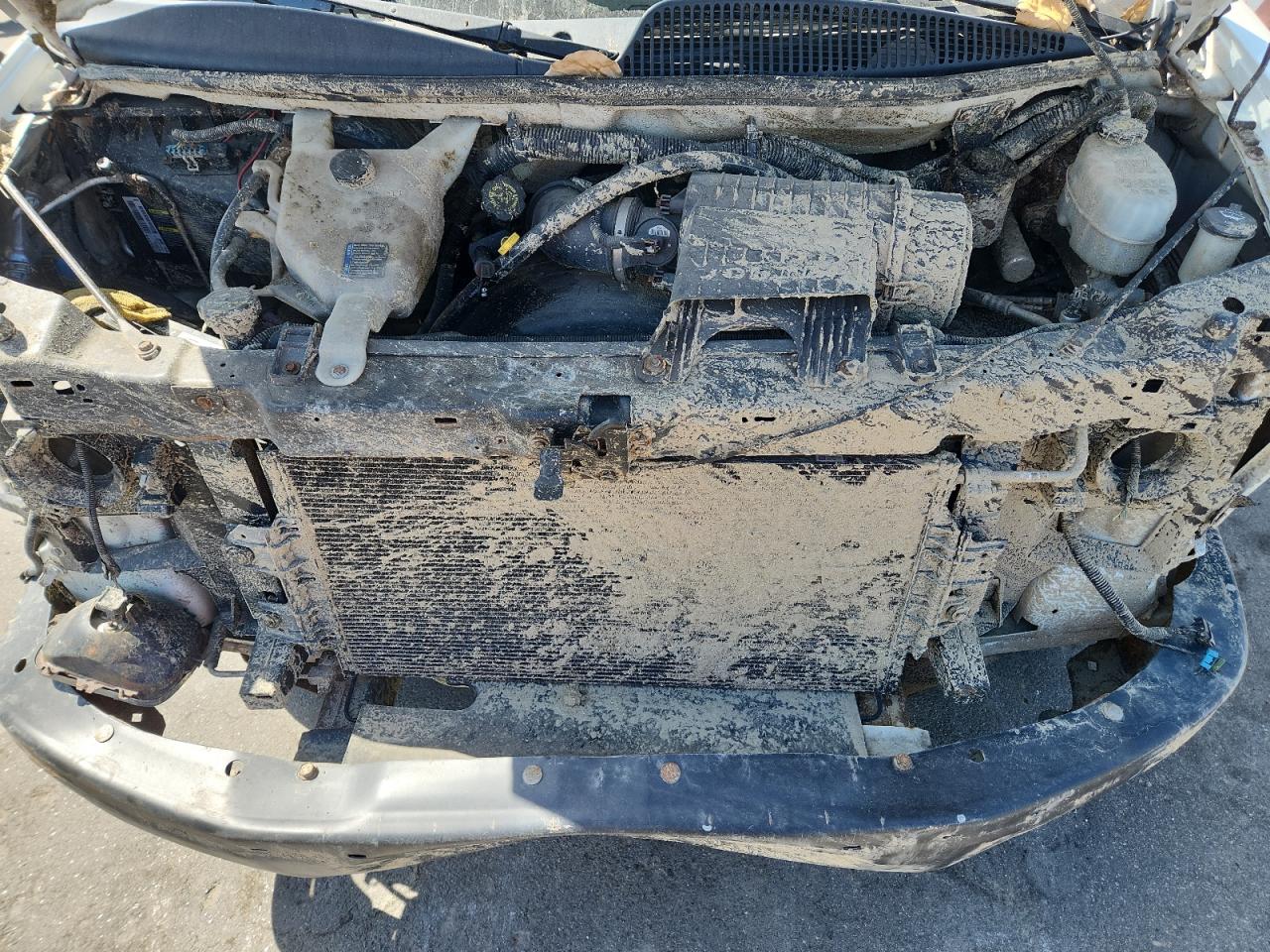 2010 Chevrolet Express G1500 VIN: 1GCUGADX1A1173791 Lot: 69561835